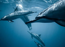 旺财28官方网站-人民日报评国内国际十大体育新闻 中超复赛入选